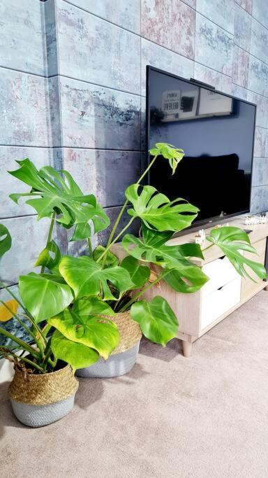 Stylish 2 Bedroom Apartment / Free Gated Parking กลาสโกว์ ภายนอก รูปภาพ